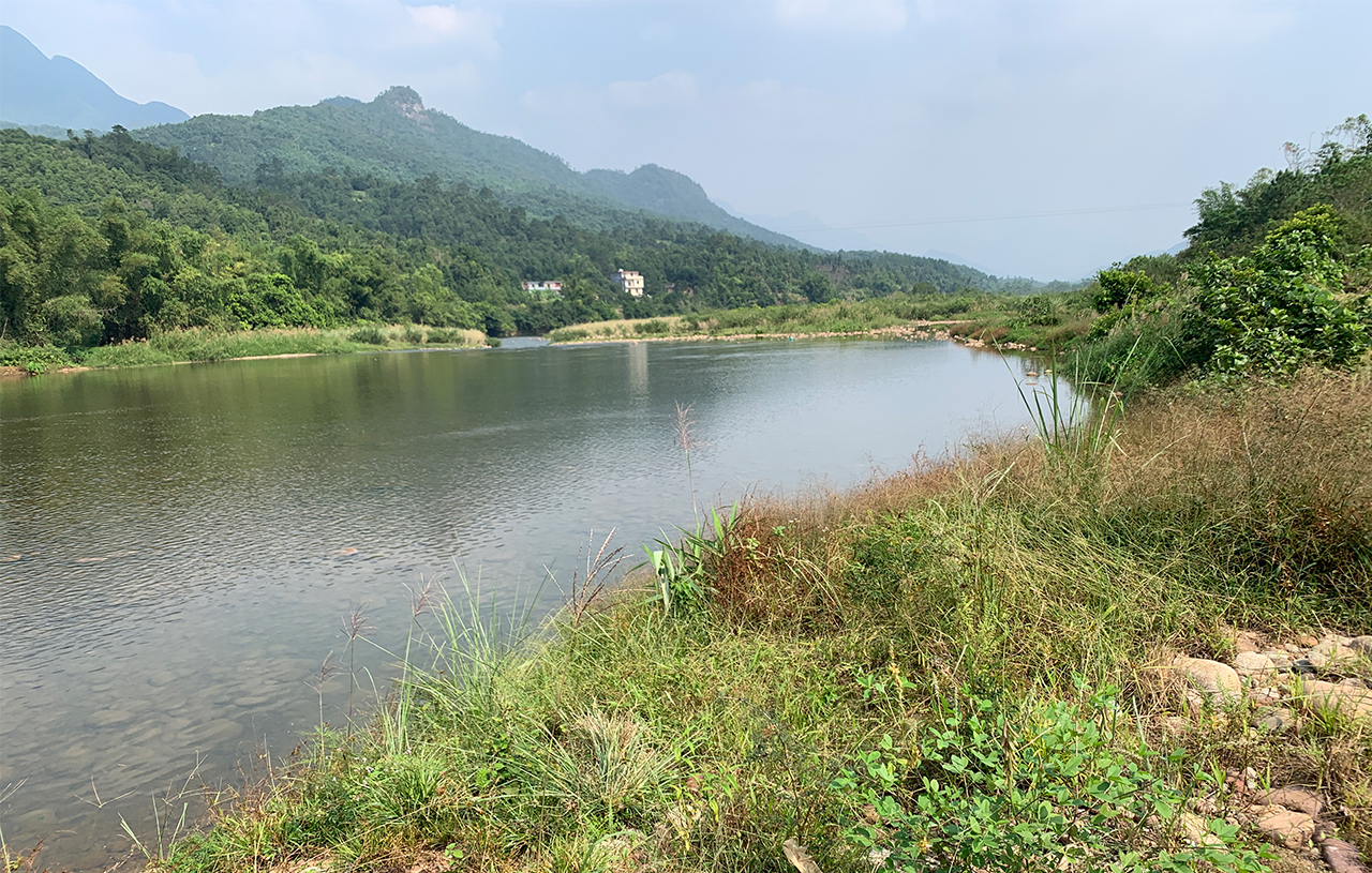 广西某市环东湾、西湾区域污水处理厂技术、建设布点与城市排水管网运行的评估