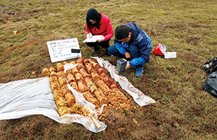 广西某在产冶炼厂厂内退役渣场场地环境调查与风险评估项目